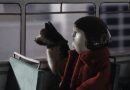 bestia short film winner monstra