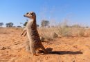 National Geographic