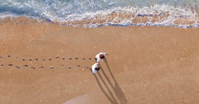 Madeira Fantastic Filmfest