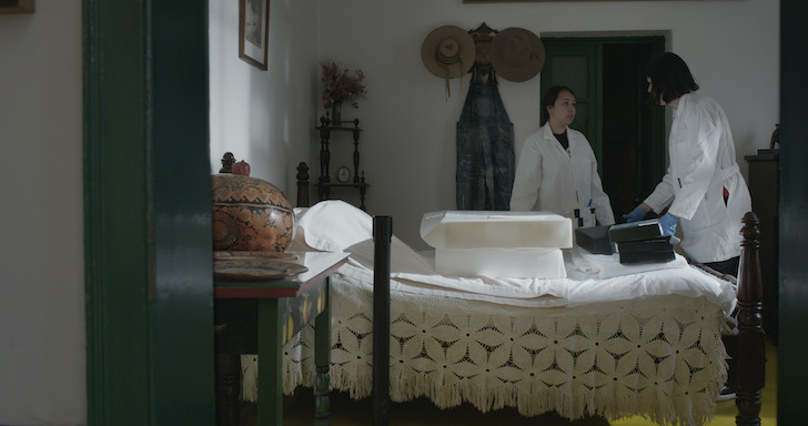 Frida - Viva a Vida