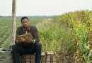 jonathan majors