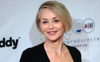 Sharon Stone Blue Beetle