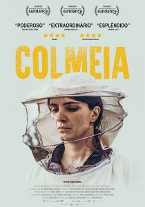 Colmeia Poster