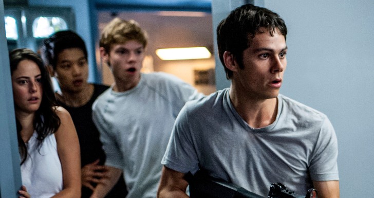 maze runner fox