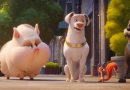 DC Liga dos Super Pets