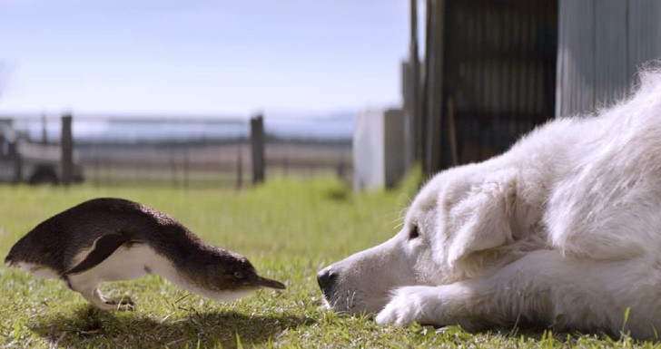 Crítica do filme Polar  Se o trabalho não te matar, a