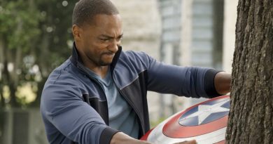 Captain America Falcon Sam Wilson