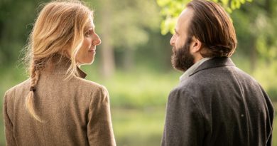 diário de um romance passageiro