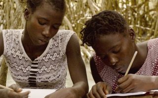 mangrove school skola di tarafe critica porto post doc