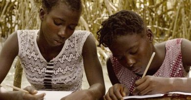 mangrove school skola di tarafe critica porto post doc