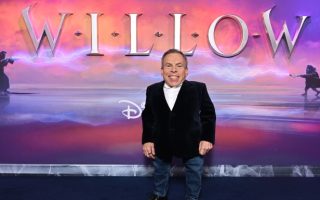 Willow Disney
