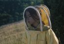 20.000 Especies de Abejas