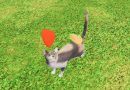Road Builder Animal Shelter Simulator