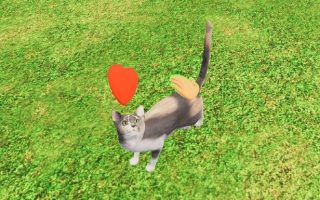 Road Builder Animal Shelter Simulator