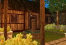 Castle Renovator