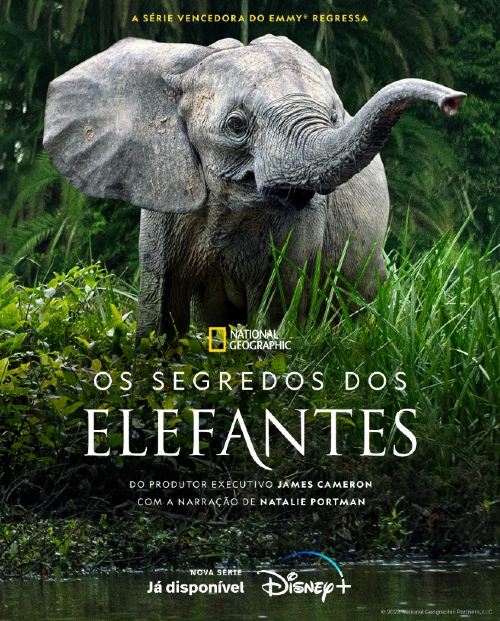 Os Segredos dos Elefantes © National Geographic