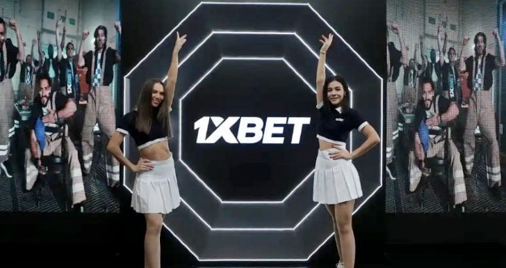 b2xbet cnpj