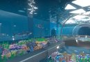 Aquarist