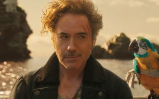 robert downey jr.