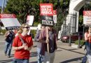 Greve Guionistas