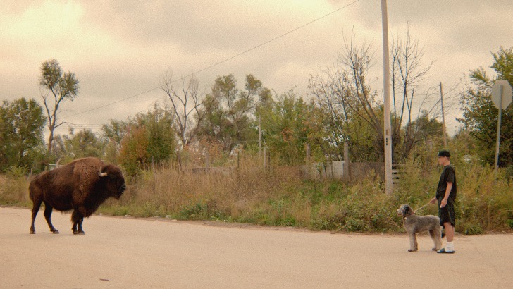 war pony critica fest