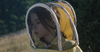 20.000 Espécies de Abelhas