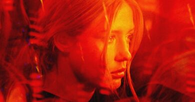 os cinco diabos critica