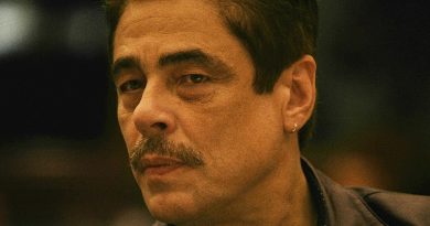 Benicio Del Toro Réptil, Reptile