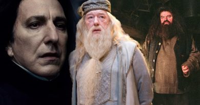 Harry Potter Bumbledore