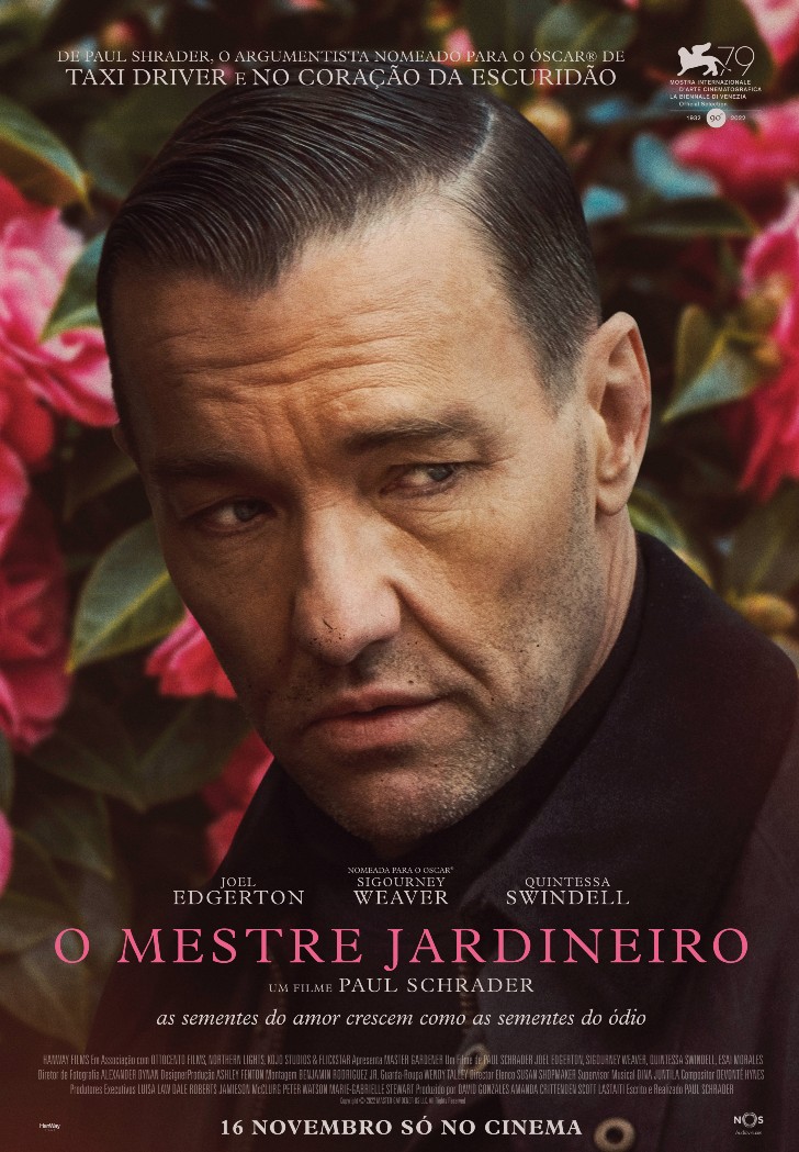 O Grande Mestre 4 (2019) - Pôsteres — The Movie Database (TMDB)