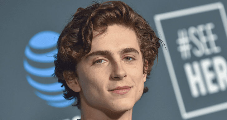 Timothée Chalamet Wonka