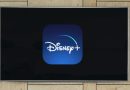 disney plus disney+ the beach boys documentário streaming