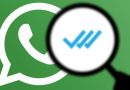 WhatsApp disponibiliza finalmente atualização há muito pedida pelos utilizadores