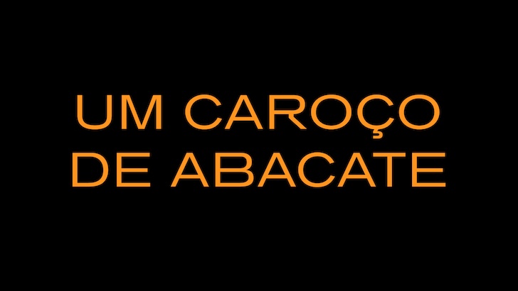 Um Caroço de Abacate