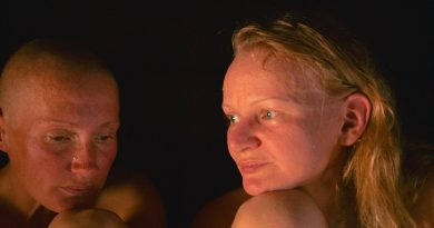 A Irmandade da Sauna