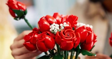 lego dia da mãe prenda rosas