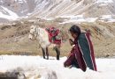 74ª Berlinale | Shambhala: Uma Adorável Mulher dos Himalaias