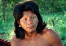 A Flor de Buriti