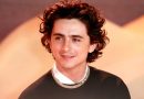 timothee chalamet bob dylan