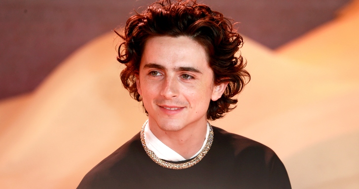 timothee chalamet bob dylan