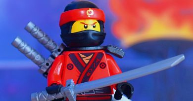 LEGO Dia do Pai Prenda Star Wars Formula 1