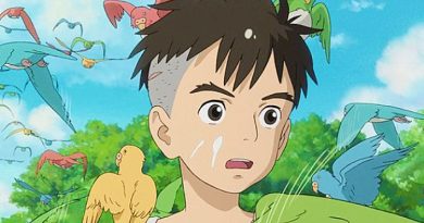 O Rapaz e a Garça Netflix