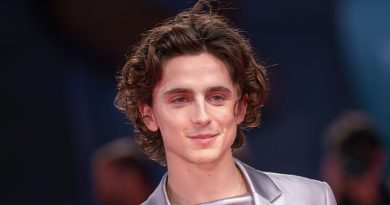 timothee chalamet dune bob dylan biopic