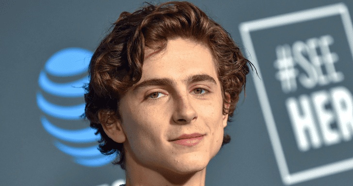 Timothée Chalamet Wonka