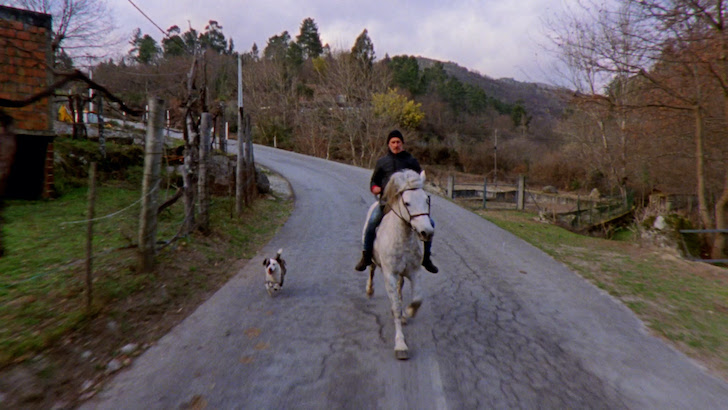 A Savana e a Montanha