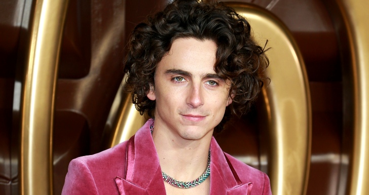 timothee chalamet