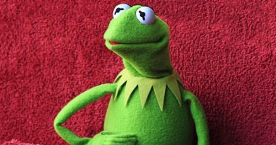 kermit marretas disney