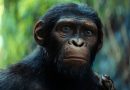 planeta dos macacos