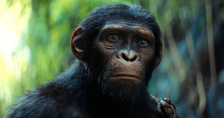 planeta dos macacos