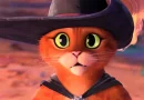 gato das botas